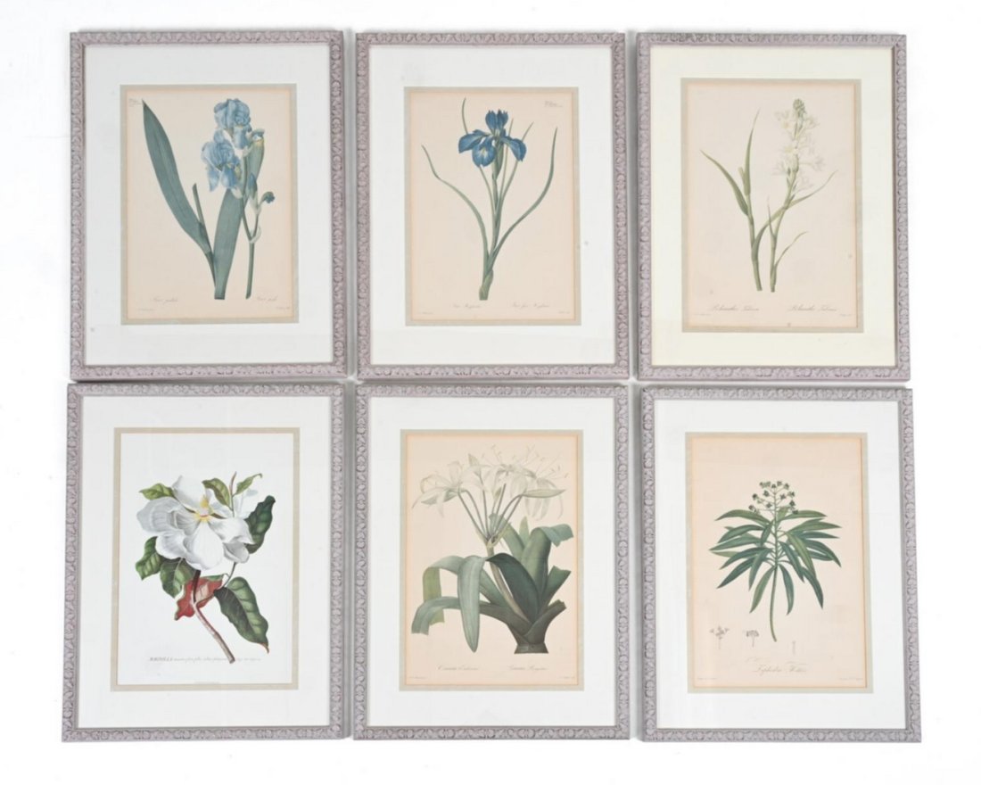 French Botanical Lithographs (1 of 9)