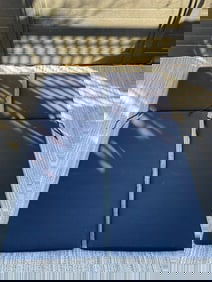 Two Restoration Hardware Chaise Lounge Cushions