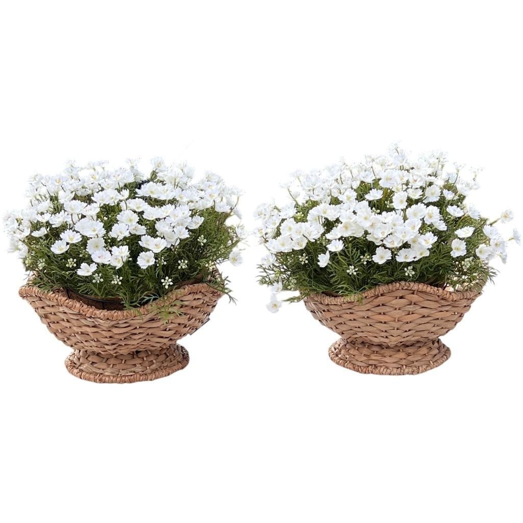 Pair of Scalloped Edge Handmade Water Hyacinth Planters Baskets Storage: This pair of baskets is crafted by Vietnamese artisans from natural fibers, featuring a wide, open design with a flared scalloped rim and a pedestal base. These baskets are ideal for displaying items,