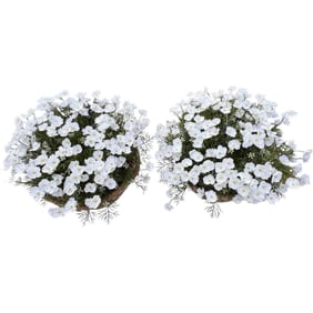 Realistic Pair of White Artificial Outdoor Flowers in Coconut Shell Hanging Baskets