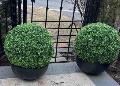 Pair of Artificial Outdoor Boxwoods in Planters – High-Quality, Brand New