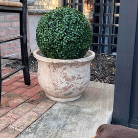 Pair of Campania Outdoor Round Planters