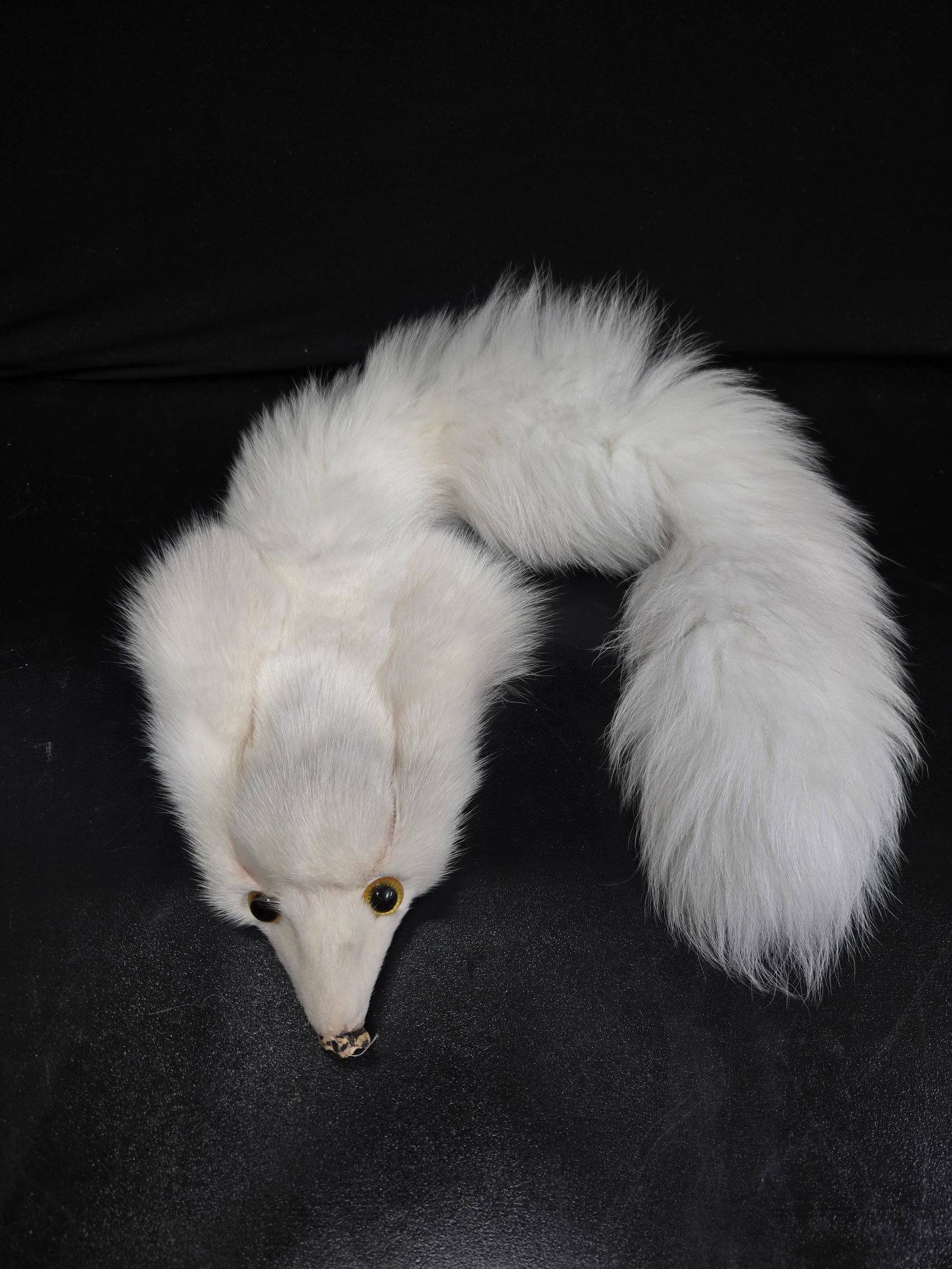White Fox Pelt - 2