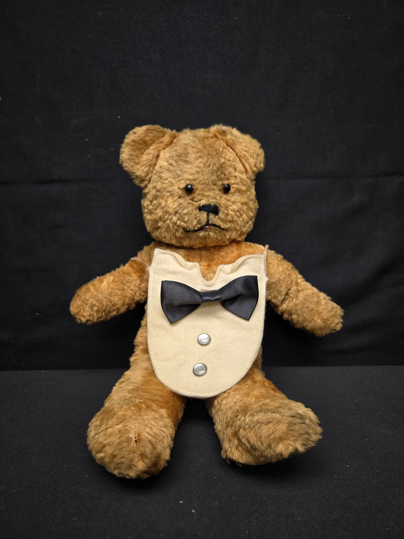 Early American Teddy Bear (1 of 2)