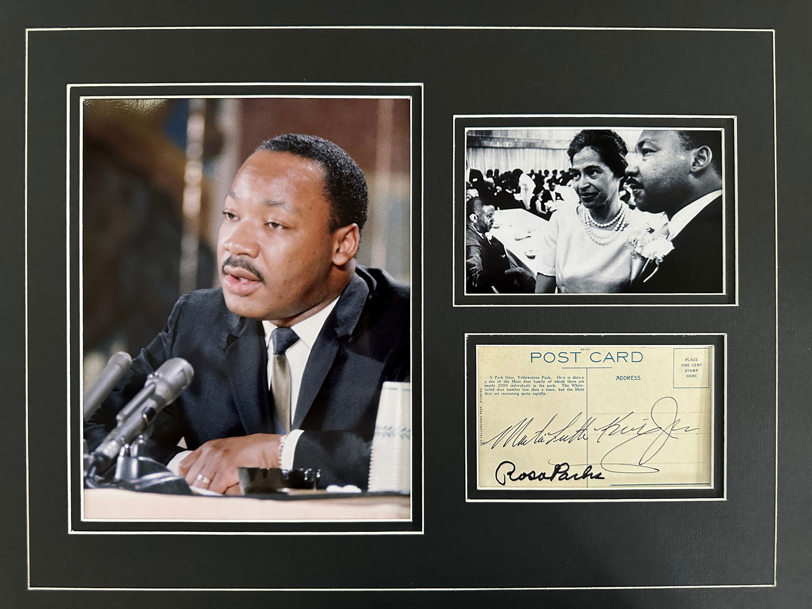 MLK Jr. & Rosa Parks photo & signature matted display (1 of 1)