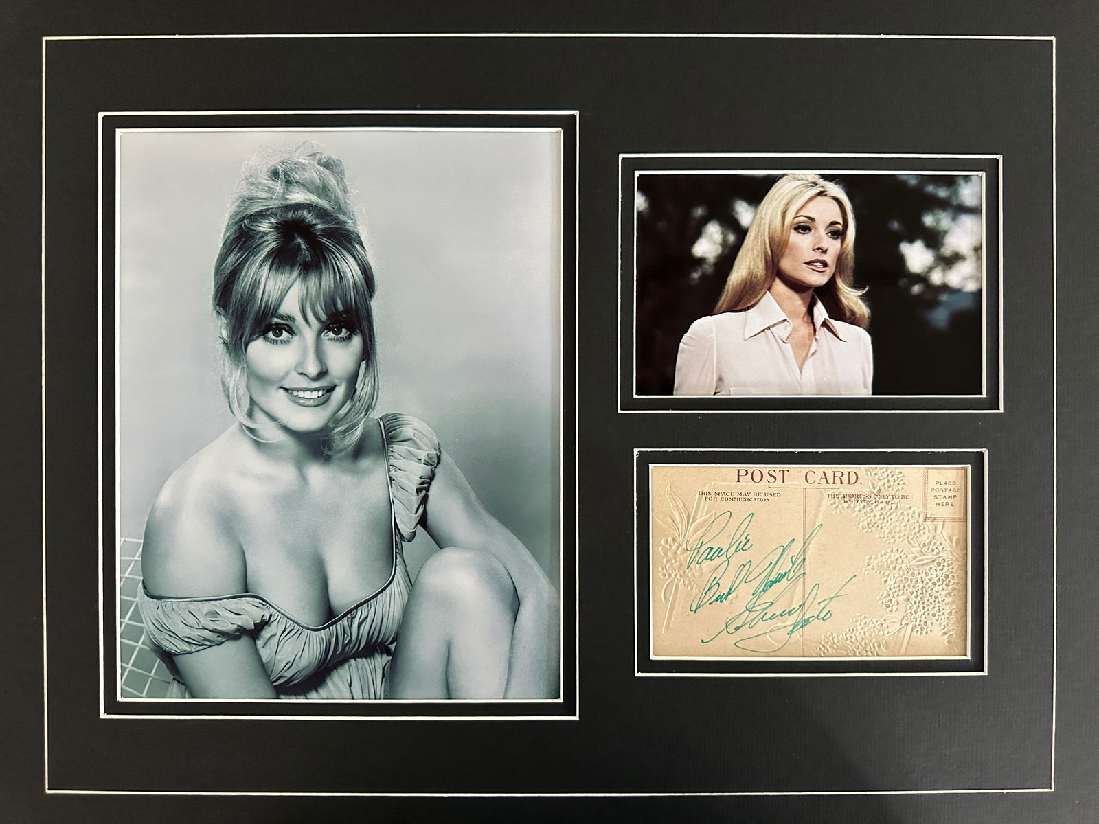 Sharon Tate photo & signature matted display (1 of 1)