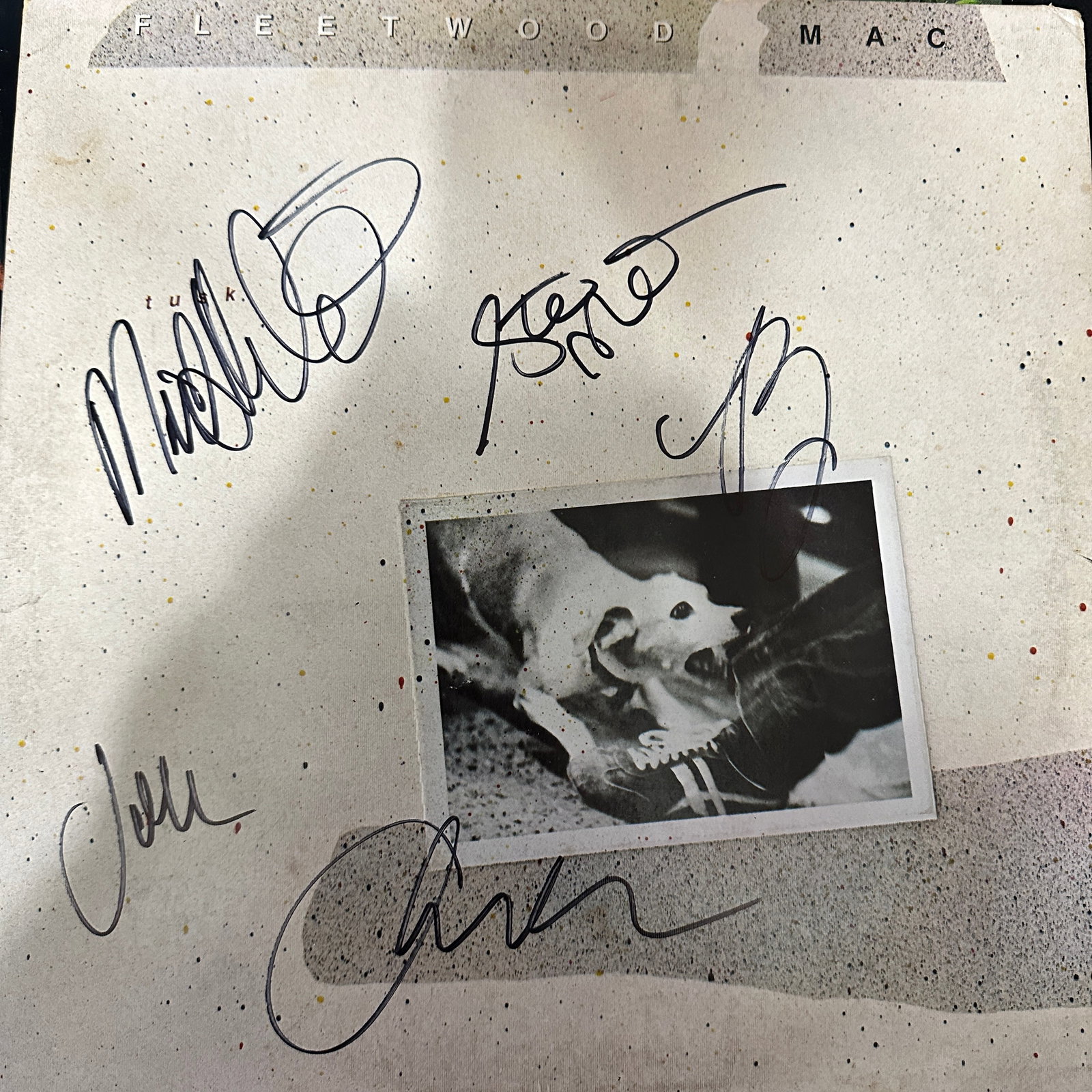 Fleetwood Mac Autographed Album All 5 Band Members w/coa: If you have any questions about an item, please message on LiveAuctioneers or send an email to bids@hiramsah.com . Displays listed are mockup photos unless listed differently in the description, Displ