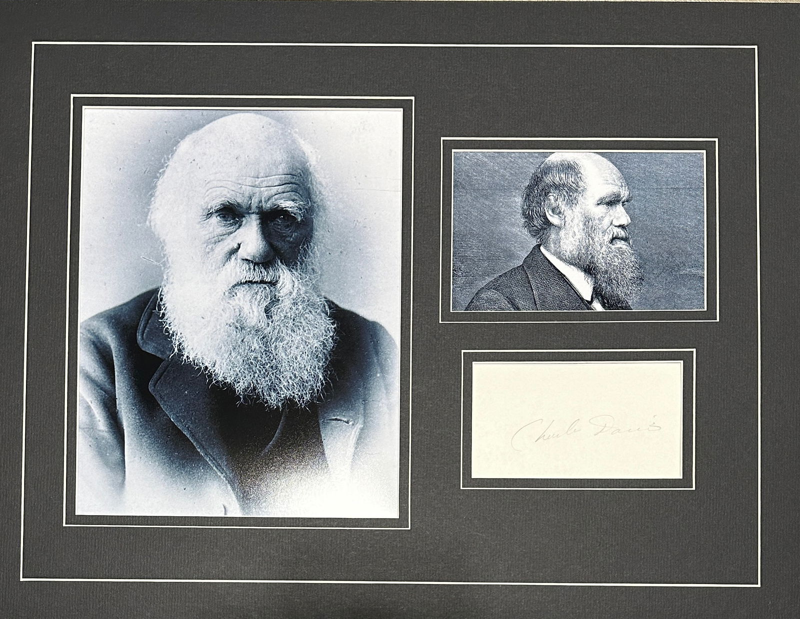 Charles Darwin Autographed Display (1 of 2)