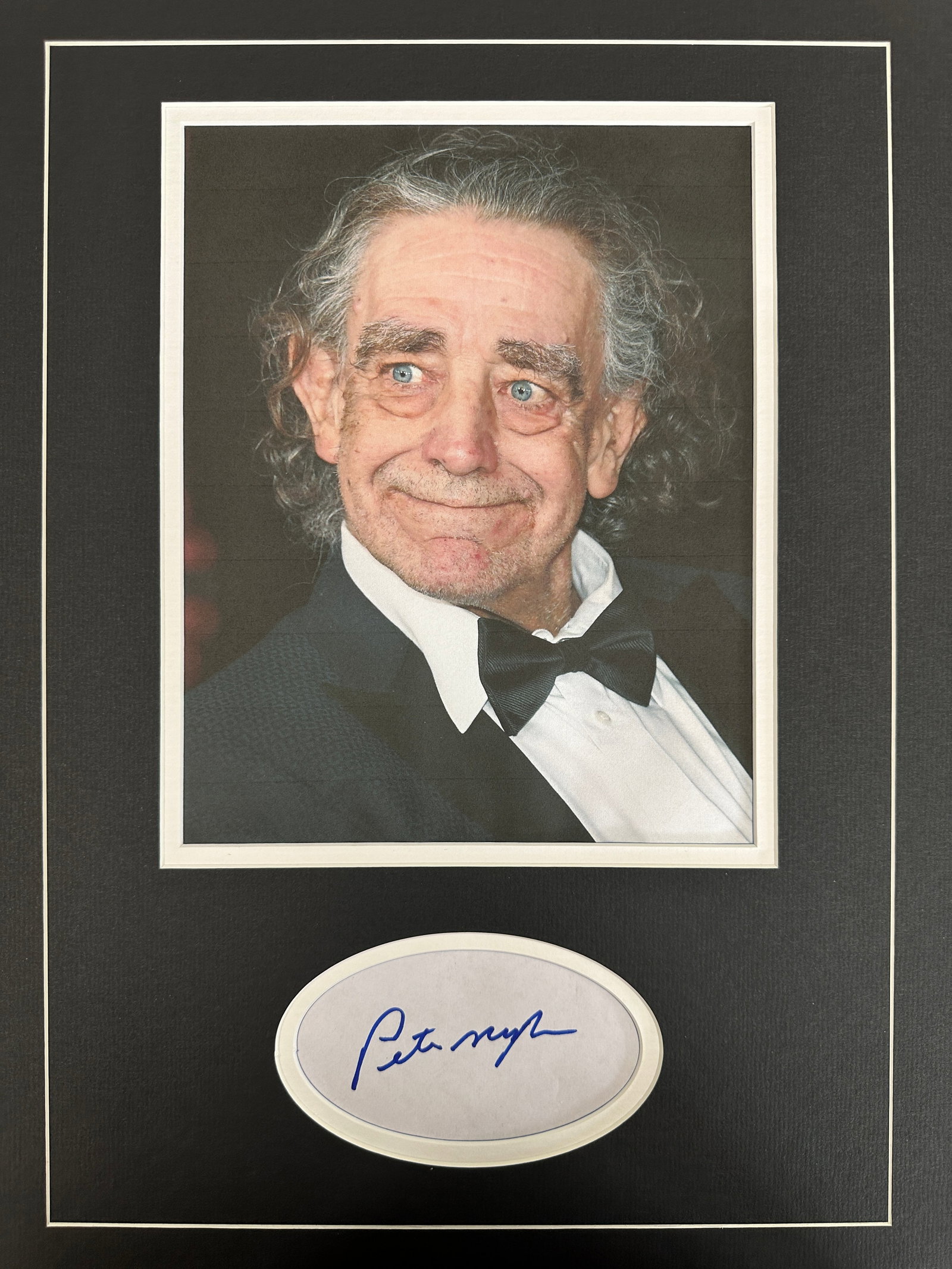 Peter Mayhew Autographed Display STAR WARS (1 of 2)