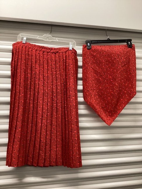 Andrea Gayle Petites Two Piece Polyester Set (1 of 3)