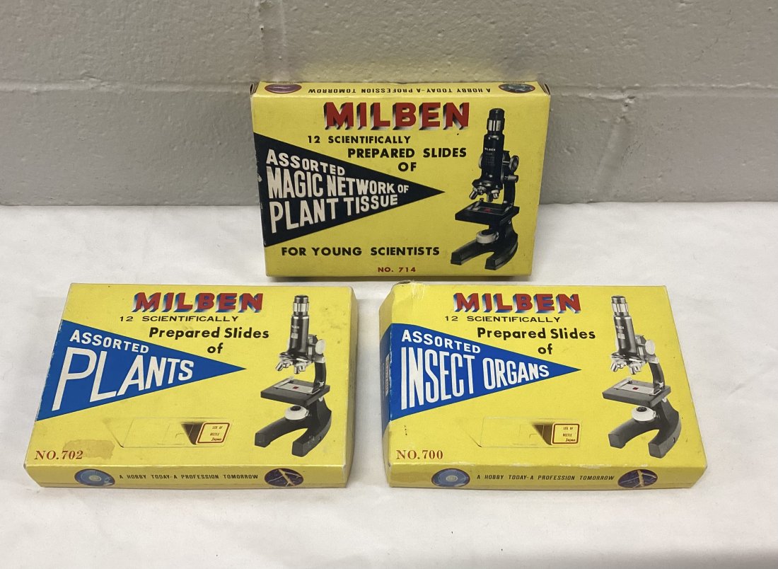 Vintage Milben Scientific Slides: Insect organs!