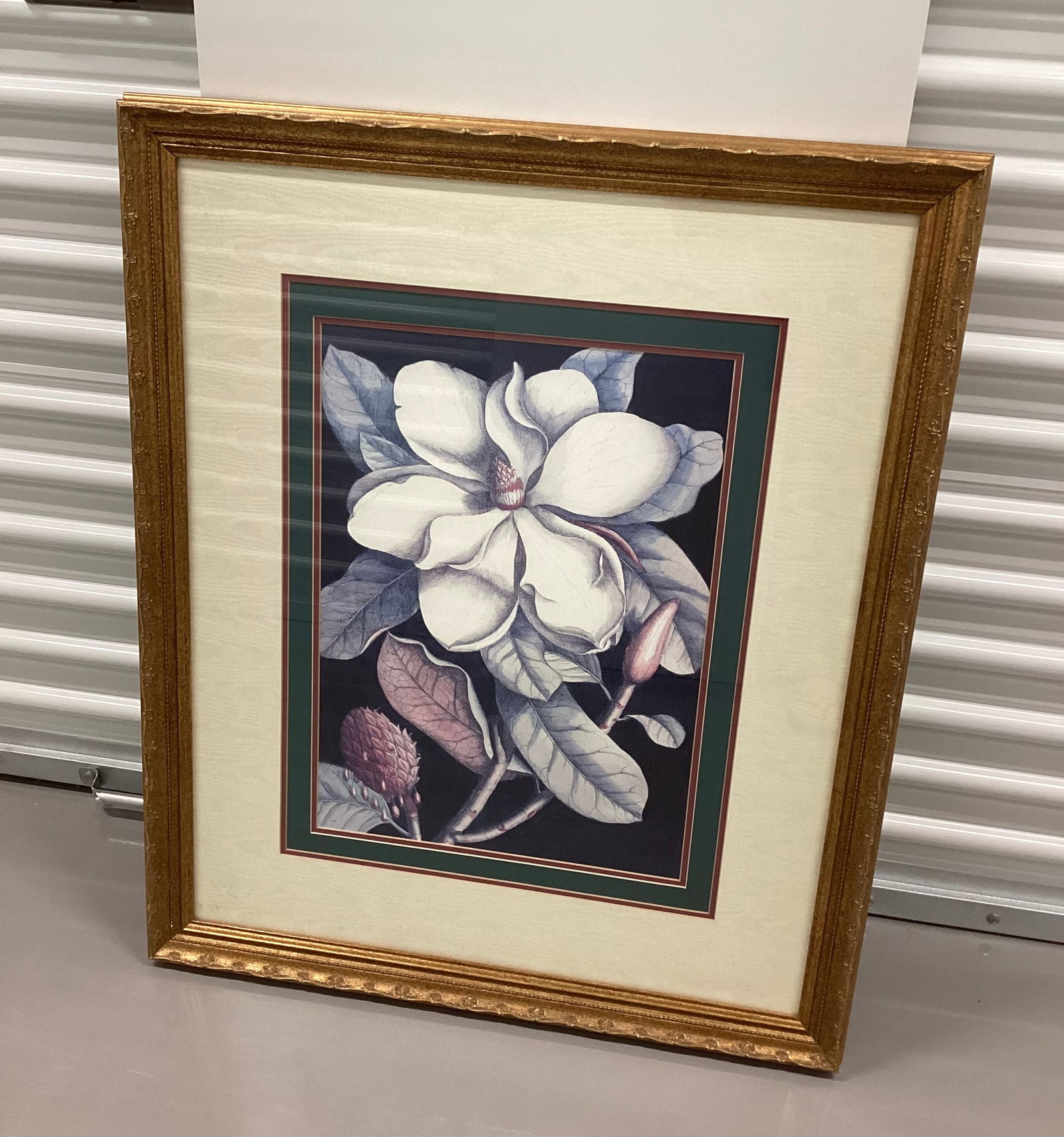 Ornately Framed Mark Catesby Magnolia Print: Paragon Picture Gallery 35.5x29.5 ***Cannot Ship This Lot in house due to size & weight - Will Drop at UPS store for handling fee***