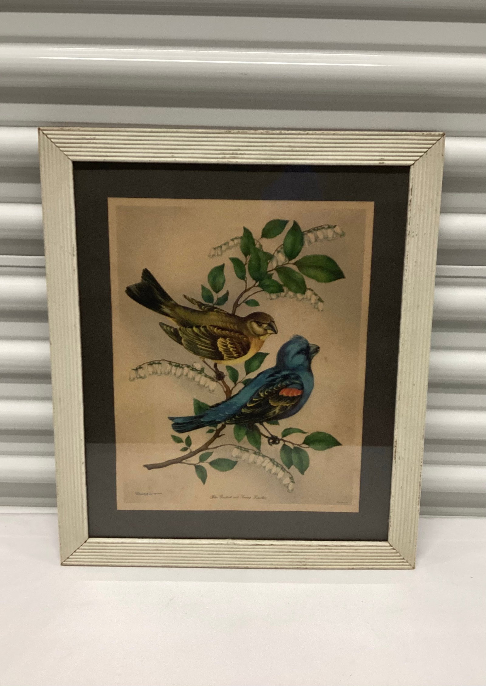 Vintage Harry Vincent Bird Lithograph (1 of 4)