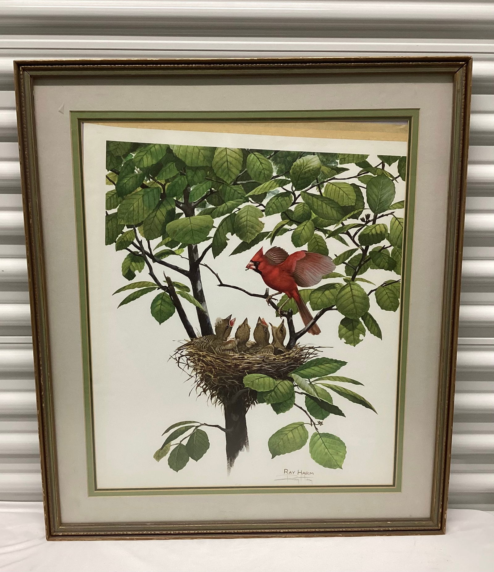 1975 Signed Ray Harm Cardinal Print (1 of 5)