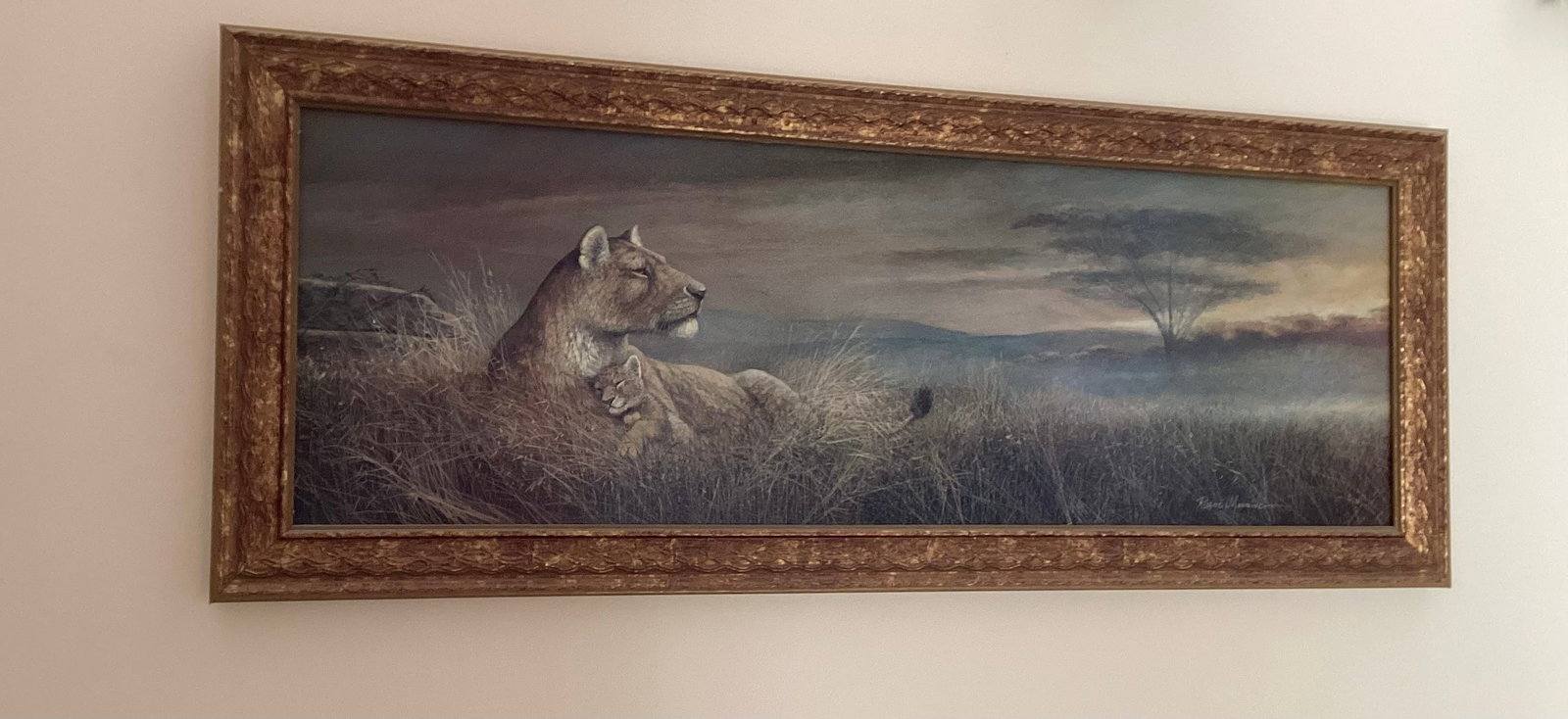 Ruane Manning Forever Safe Lioness Print (1 of 4)