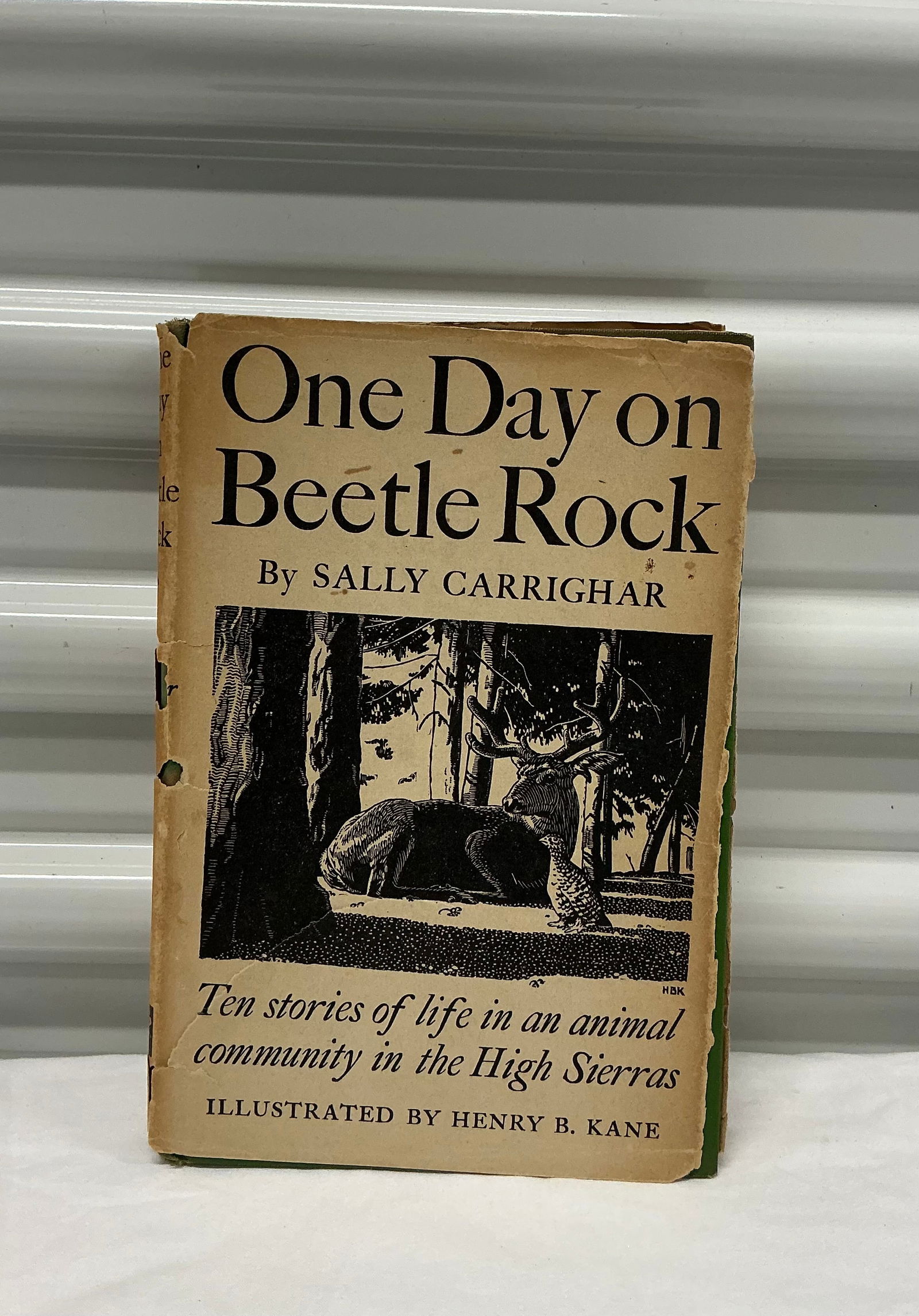 1944 First Edition One Day on Beetle Rock Hardcover With Dust Jacket (1 of 4)