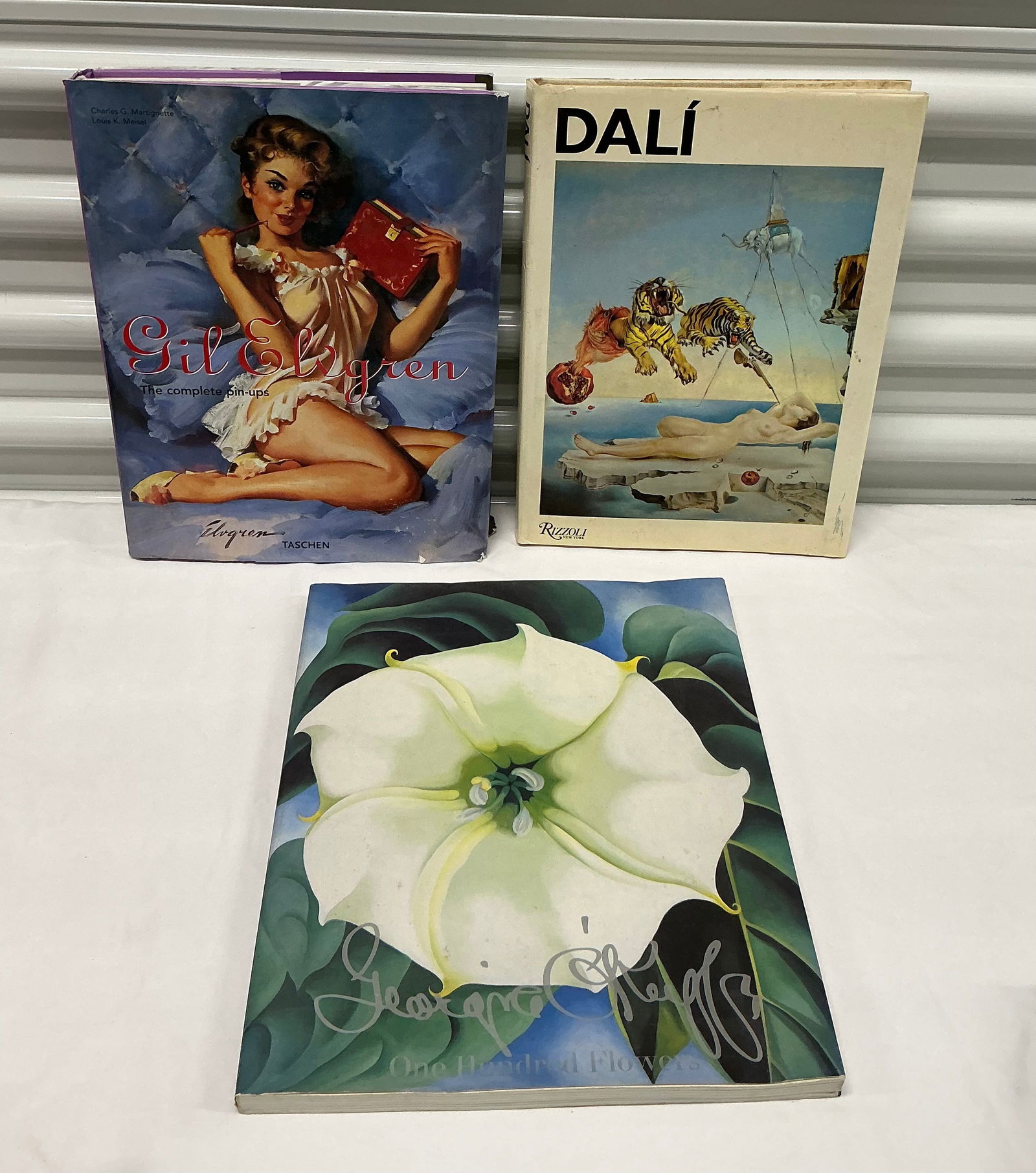 Coffee Table Art Books Elvgren Pin Ups, Dali, Georgia Okeefe (1 of 4)