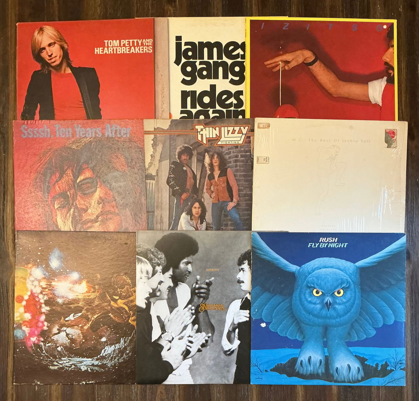 Vintage Vinyl Rock Records (1 of 3)
