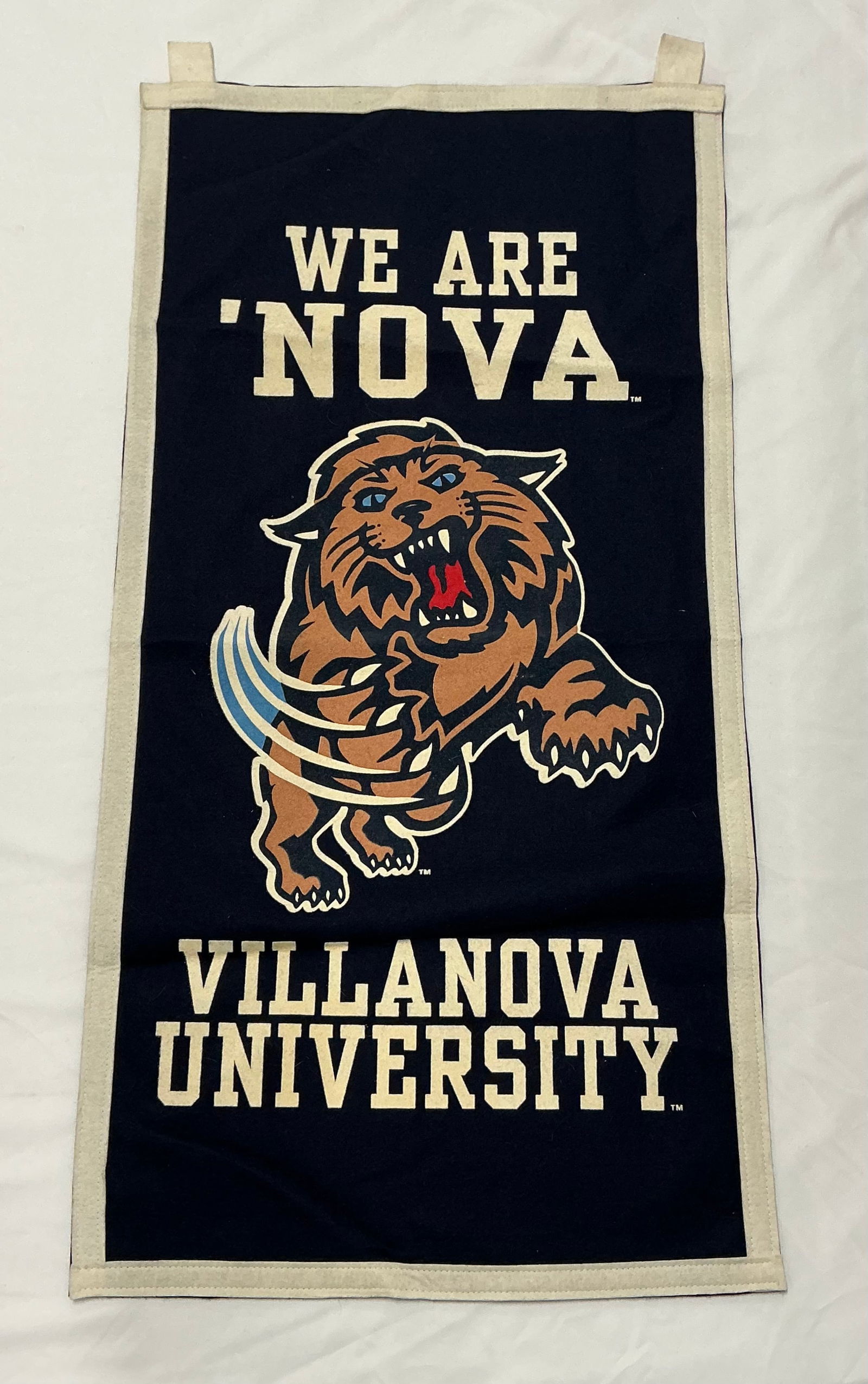 We Are Nova Felt Villanova Banner: 36x17.5