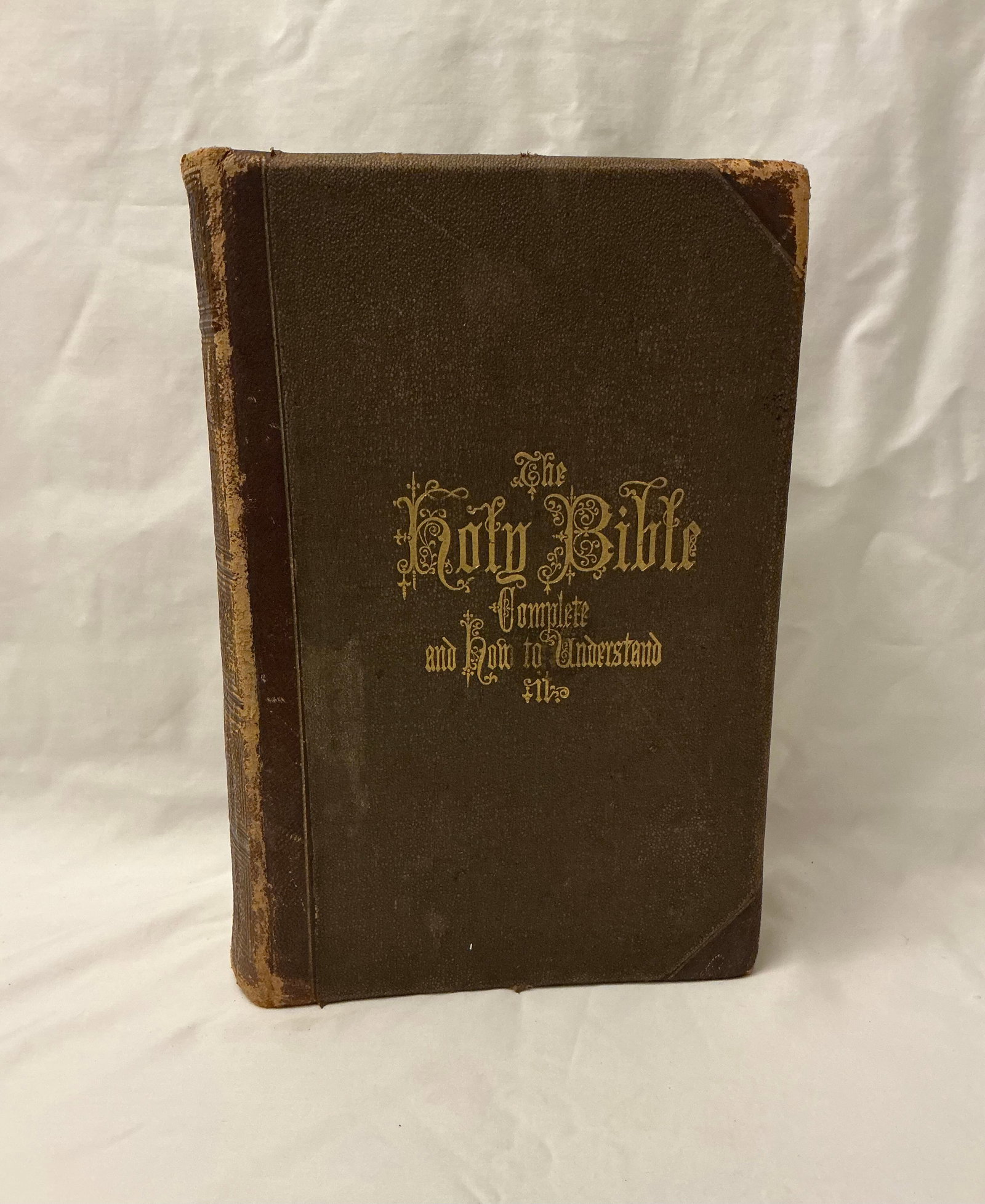 1871 Bible Illustrated With Steel Plate Engravings & Maps (1 of 8)