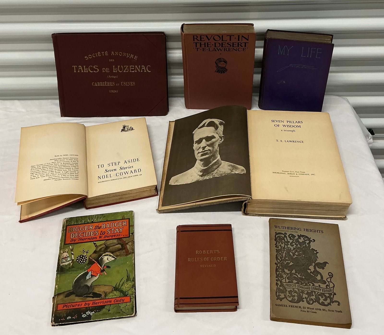 Early 1900s Books (1 of 6)