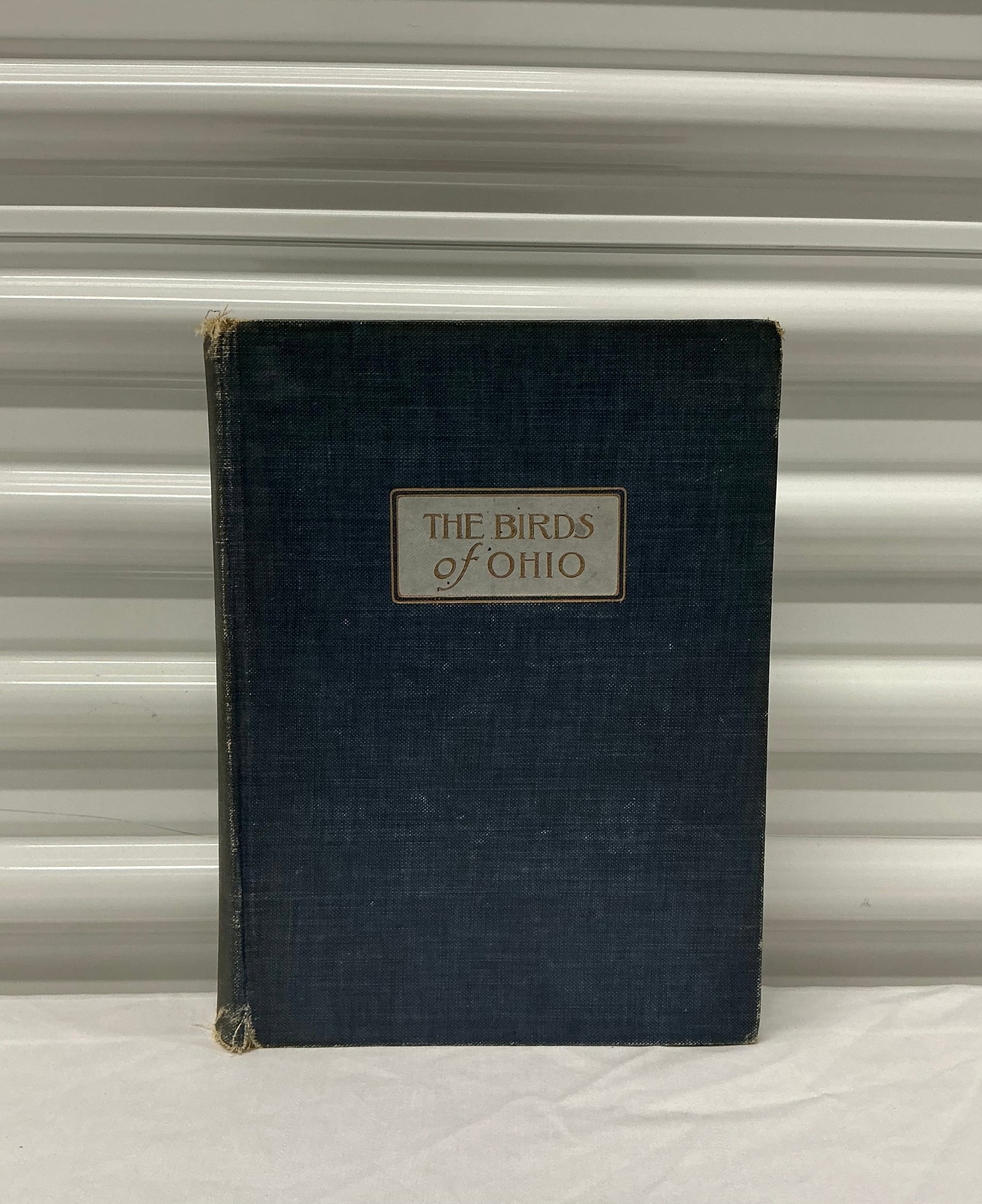 1903 Illustrated Birds Of Ohio Hard Cover (1 of 8)