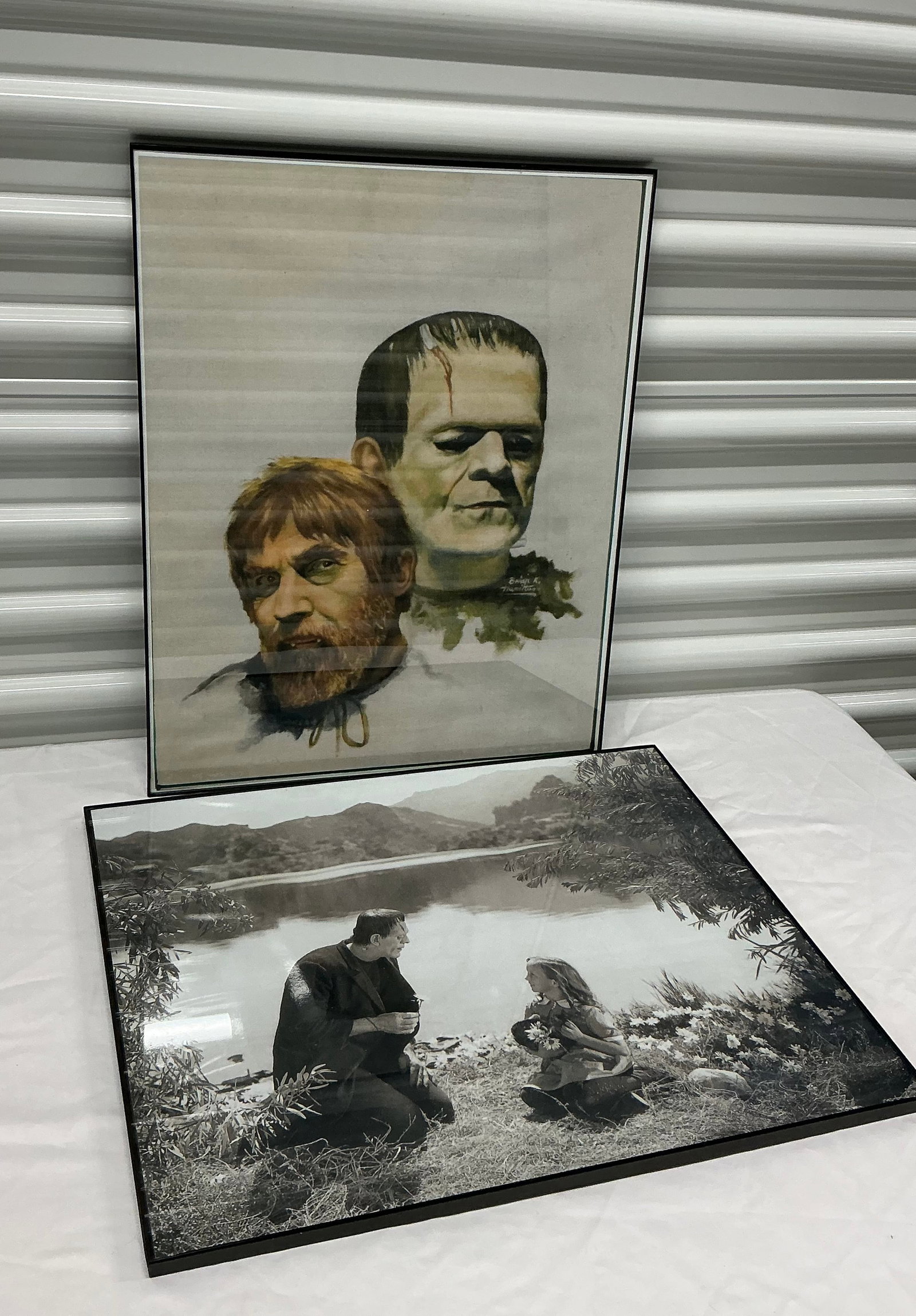 Framed Frankenstein Art: 20x16