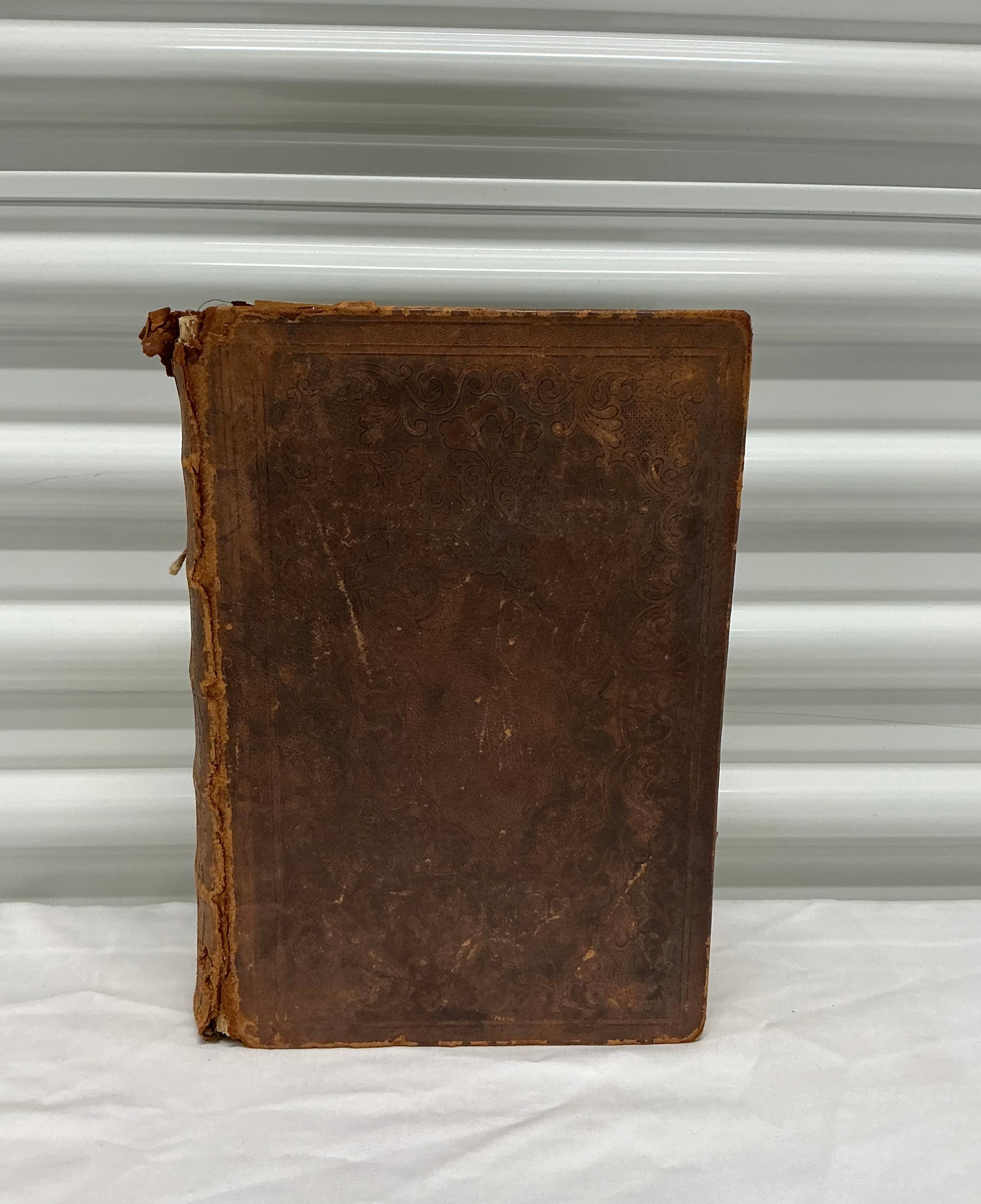1854 Bible - 2