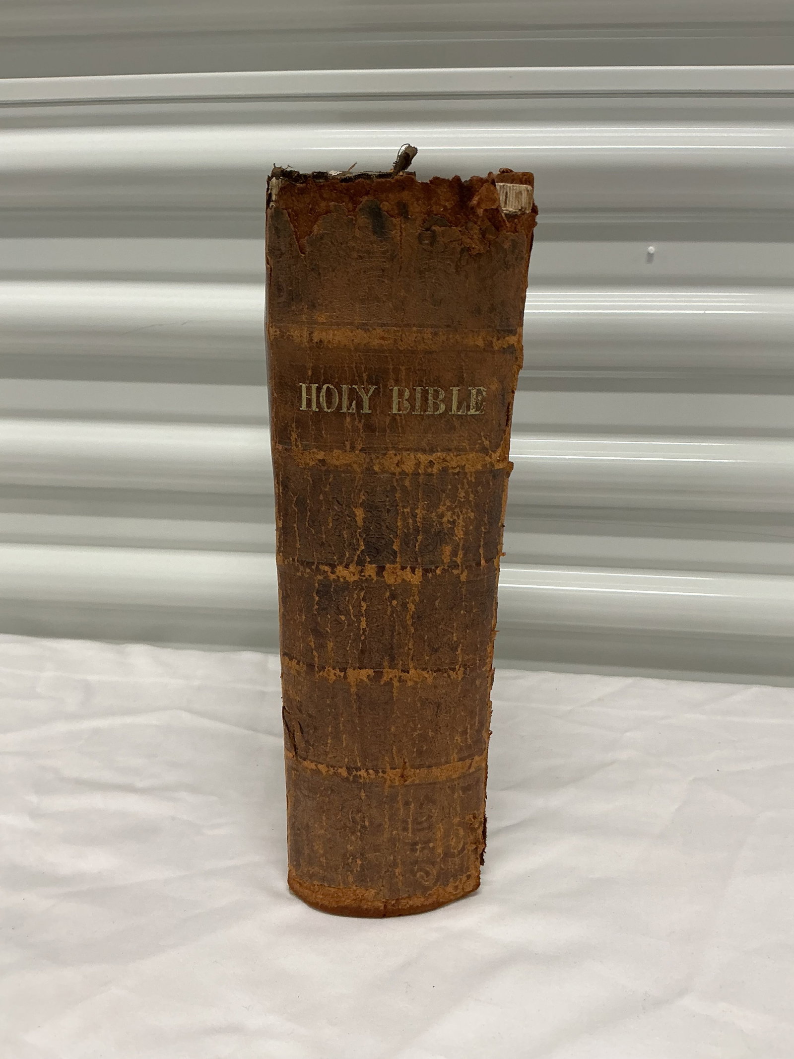 1854 Bible - 3