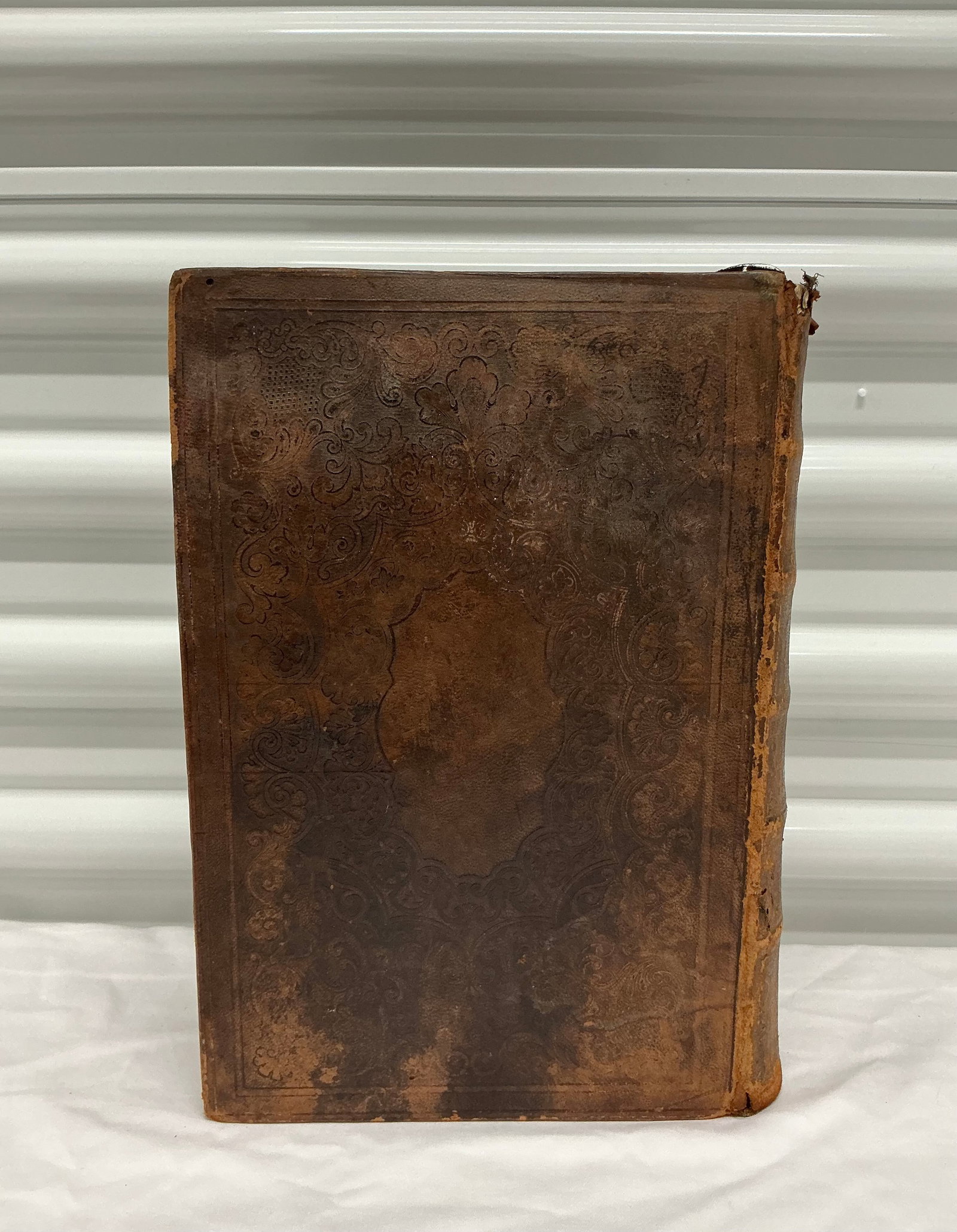 1854 Bible - 5