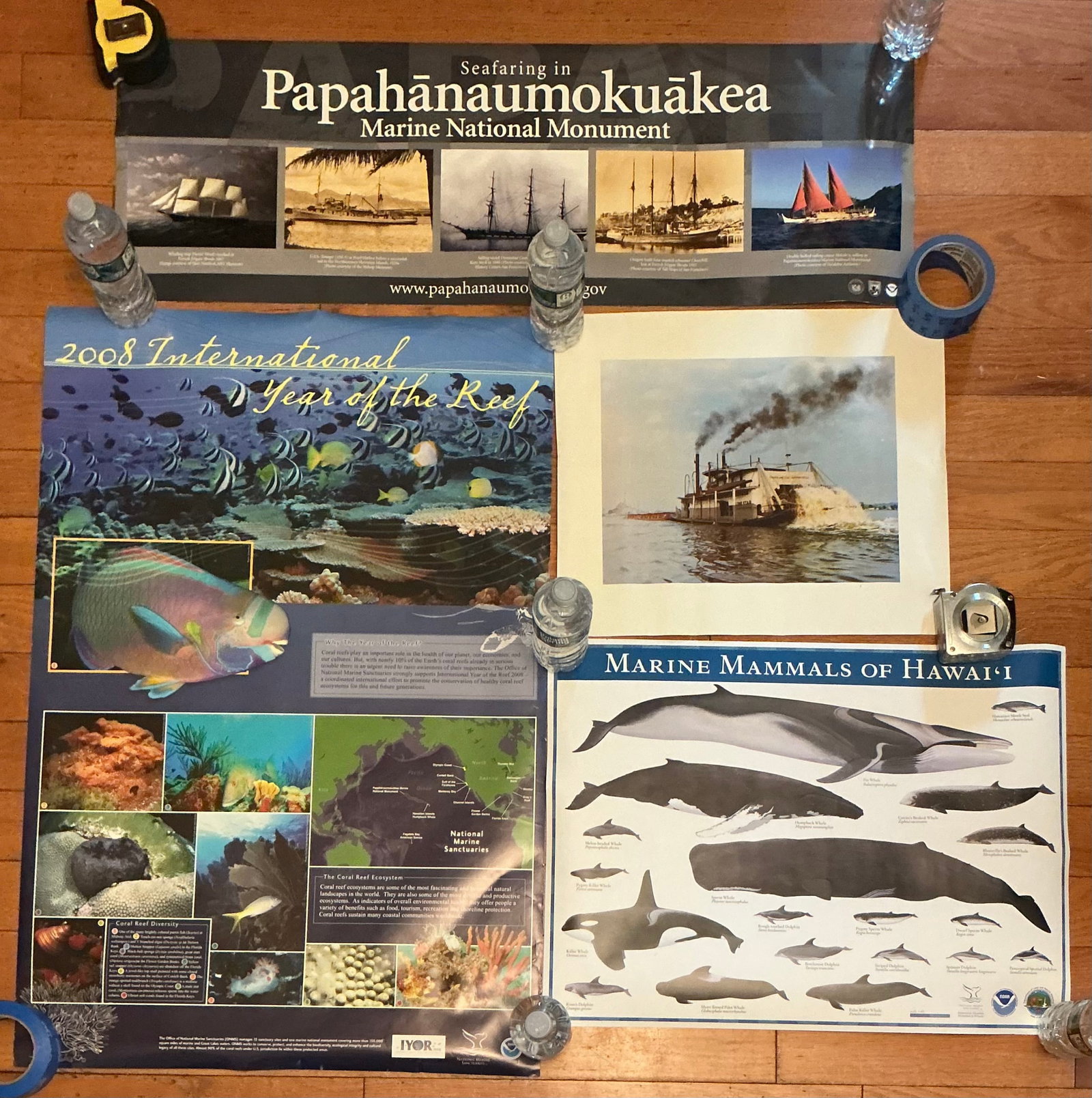 Vintage Nautical & Marine Life Posters: Largest 36x24
