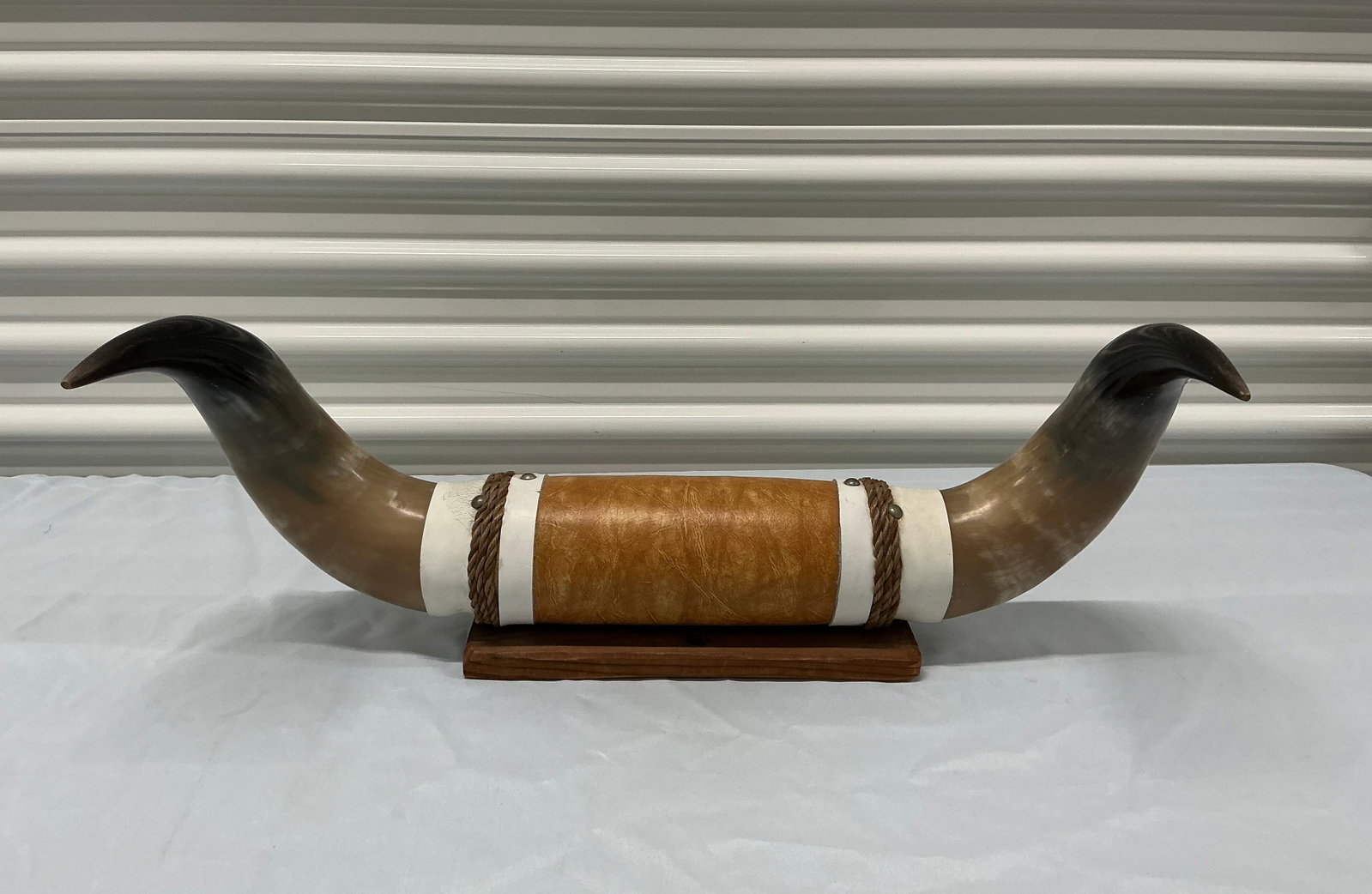 Mounted Polished Steer Horns (1 of 6)