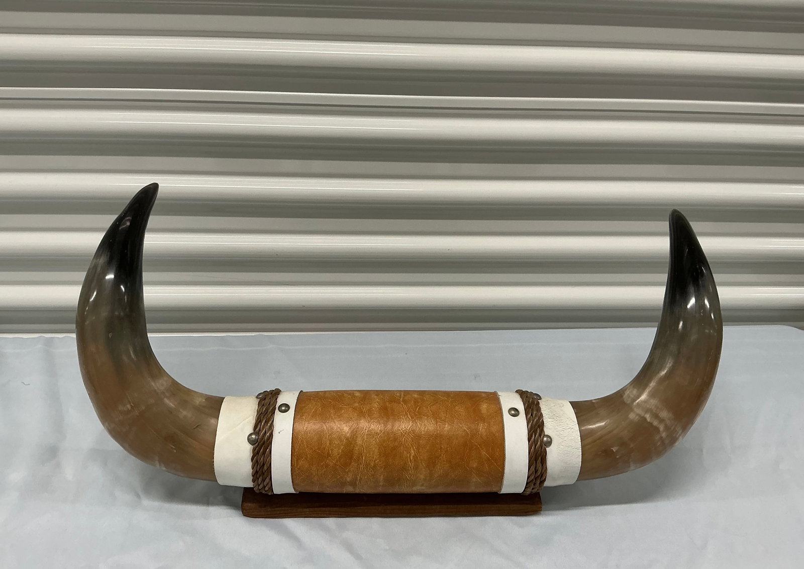 Mounted Polished Steer Horns - 2