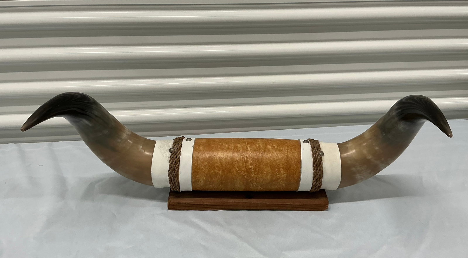 Mounted Polished Steer Horns - 3