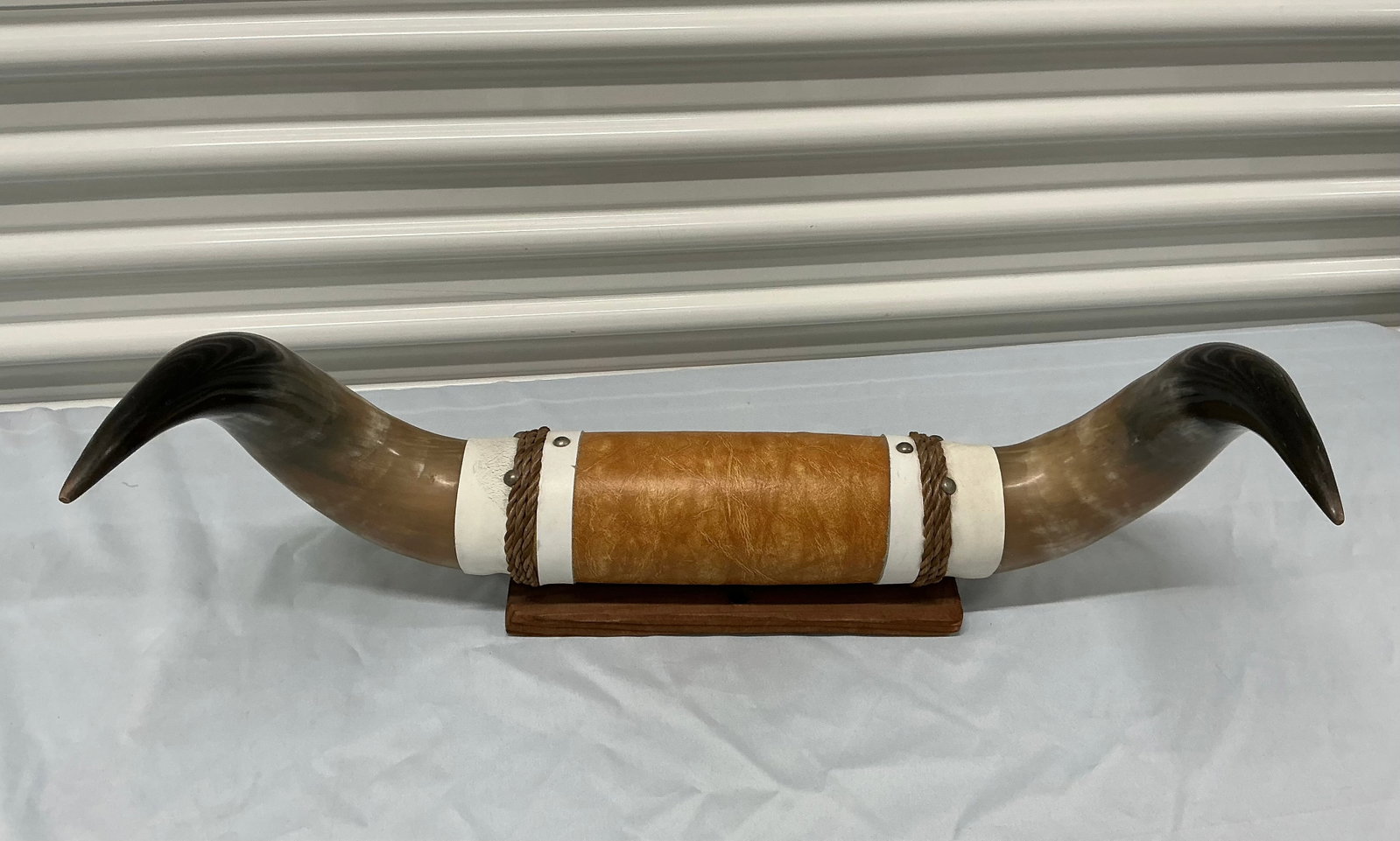 Mounted Polished Steer Horns - 4
