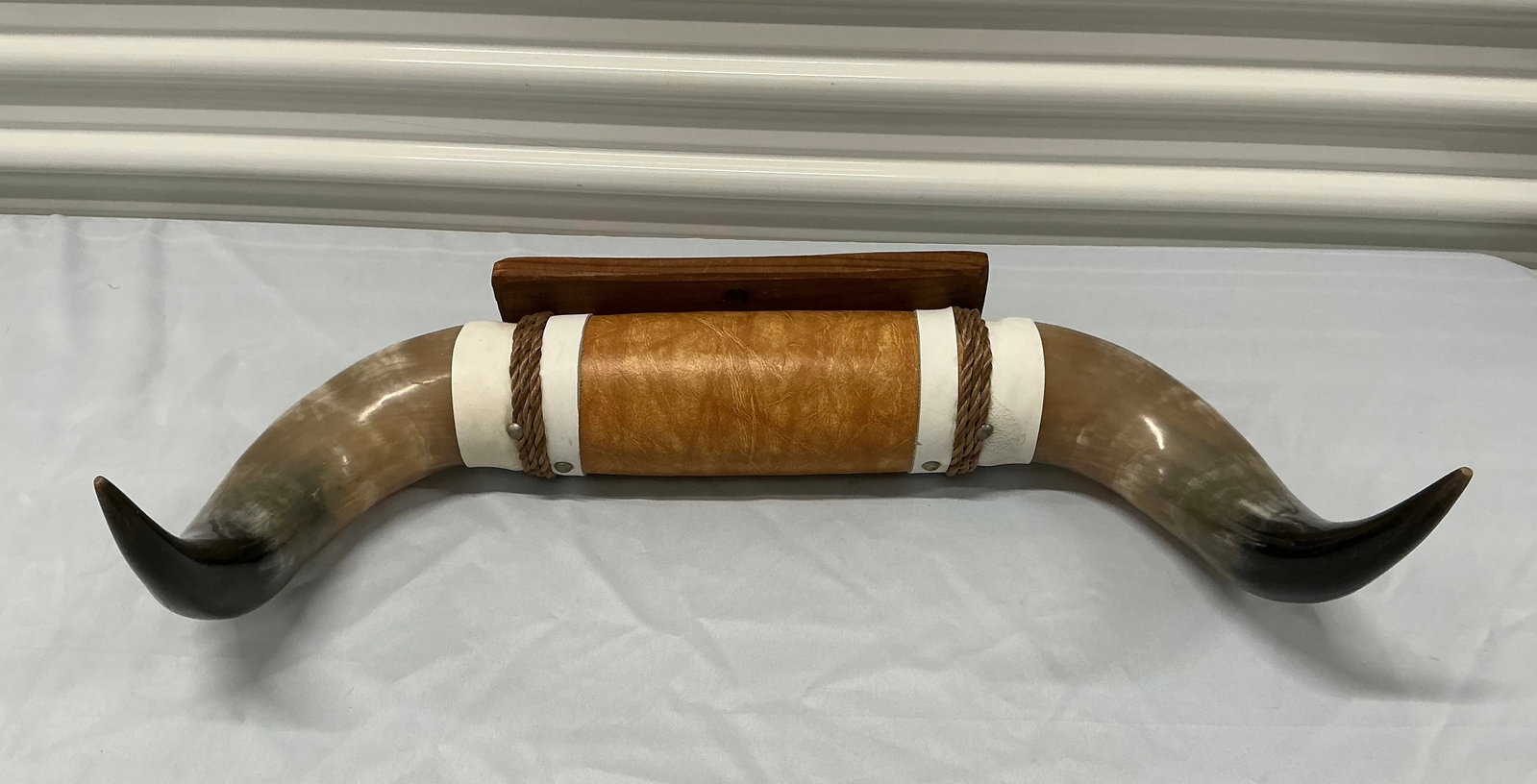 Mounted Polished Steer Horns - 5
