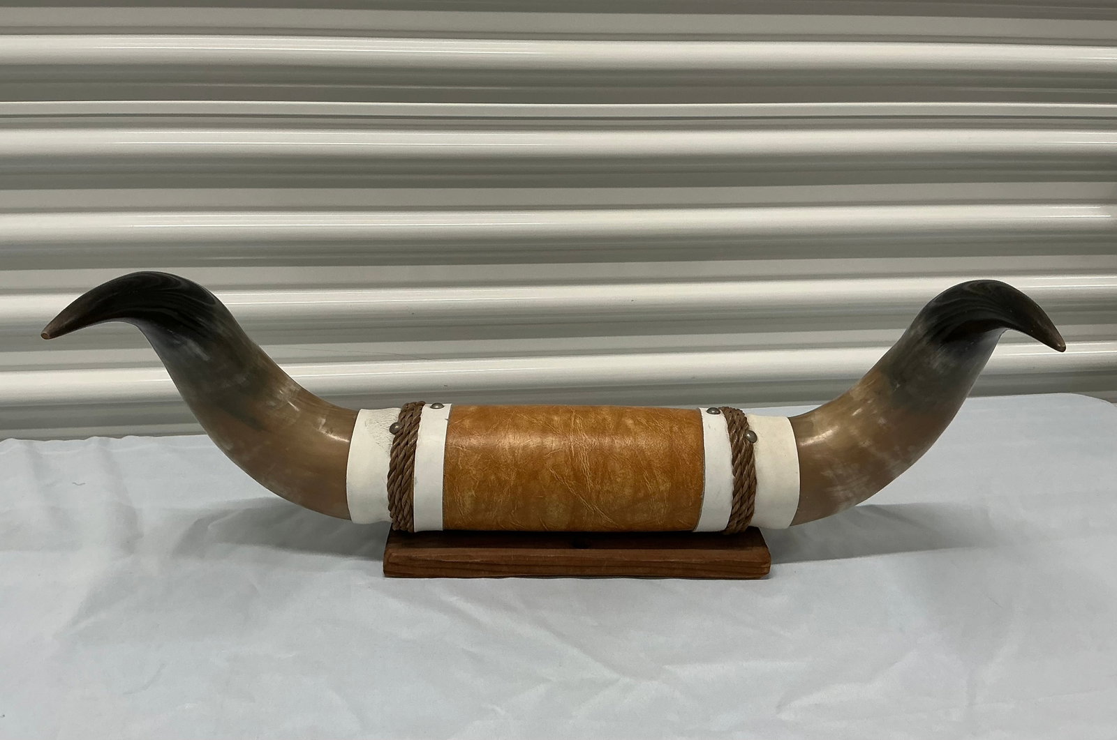Mounted Polished Steer Horns - 6