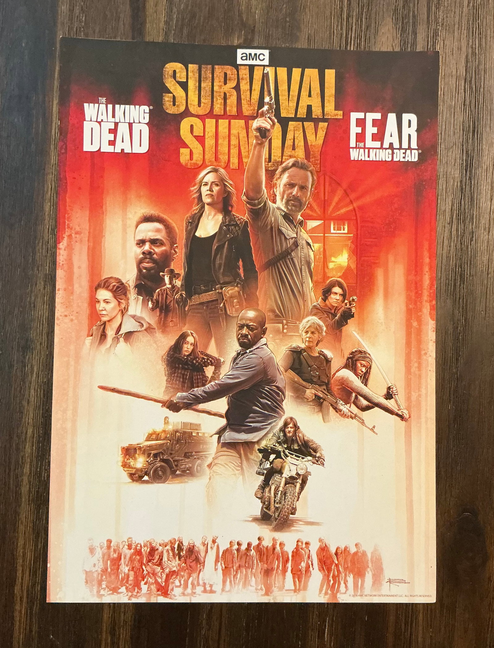 2018 AMC The Walking Dead Fear The Walking Dead Promo Poster: 19x13 in