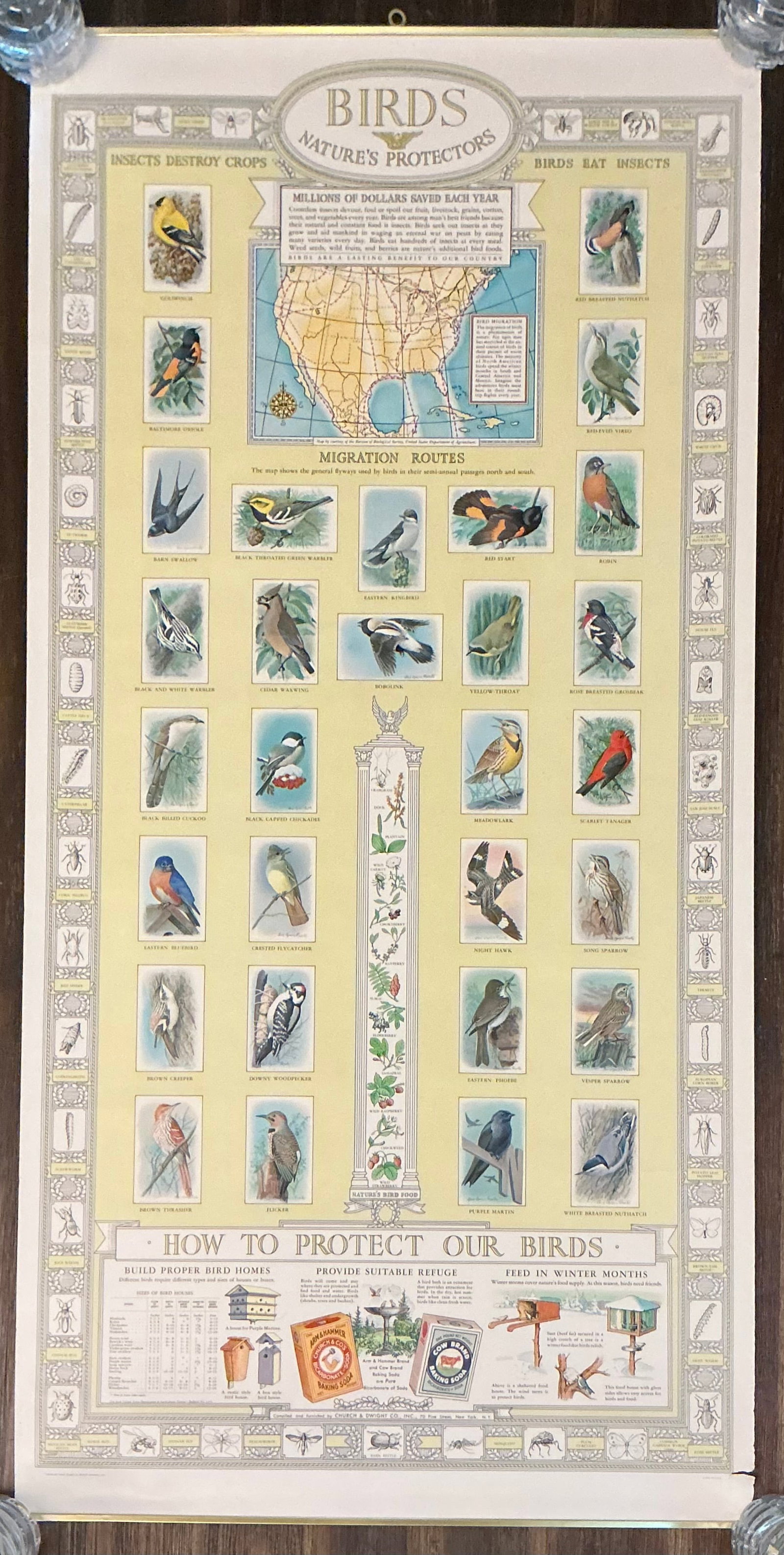 1938 Arm & Hammer Church & Dwight Advertising Bird Poster: 41x20 in
