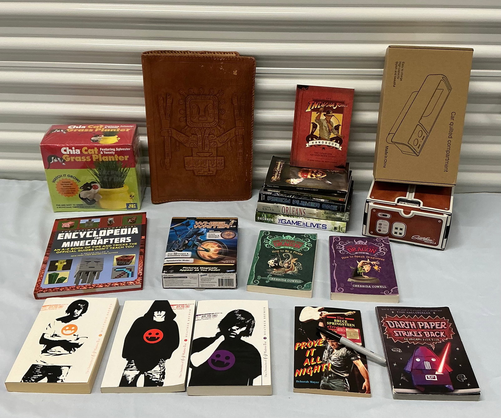 Peruvian Leather Books & Gadgets: Sealed Warner Bros Chia Cat Grass Planter