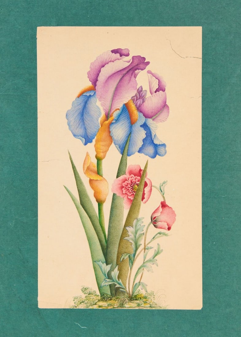 A COMPOSITION OF THE MUGHAL FLOWER IRIS, INDIA, 19TH/20TH CENTURY (1 of 2)