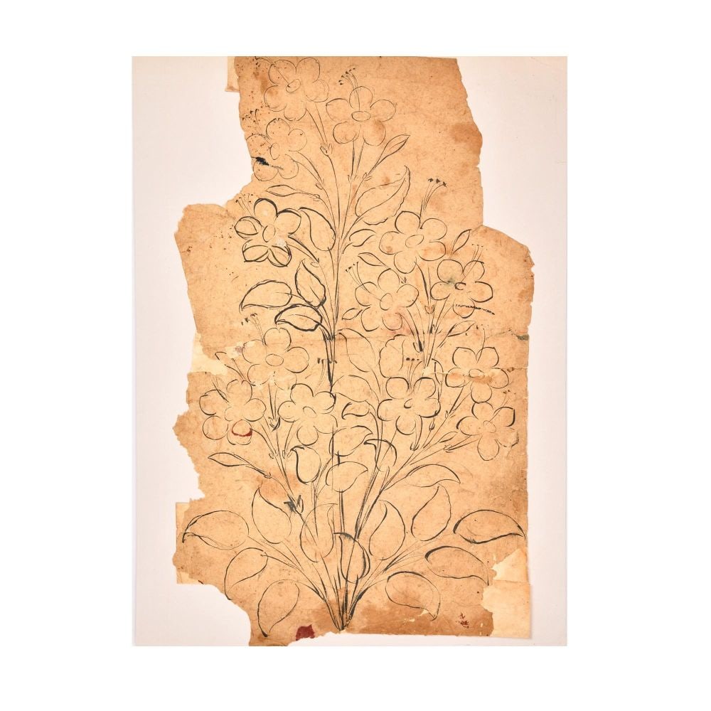 A MUGHAL FLOWER PEN & INK SKETCH, 18TH CENTURY: A MUGHAL FLOWER PEN & INK SKETCH, 18TH CENTURY This refined Mughal pen-and-ink study presents a flowering plant rendered with elegant economy of line, exemplifying the naturalistic sensibility t