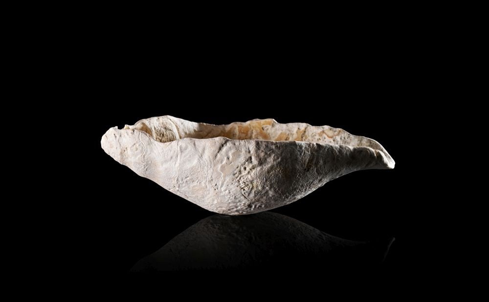 A MESOPOTAMIAN SHELL POURING VESSEL, CIRCA 3000 B.C. (1 of 3)