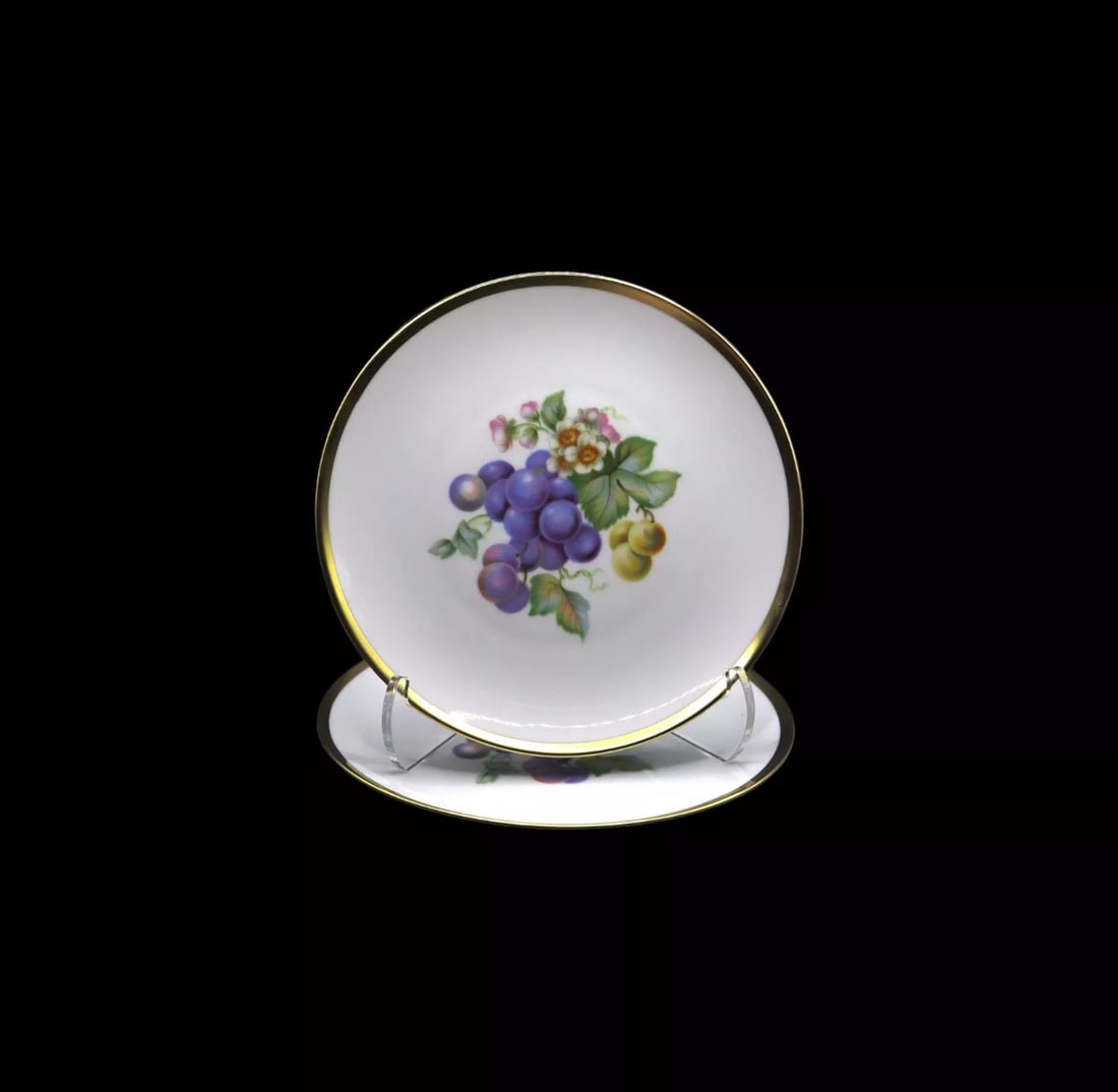 Hutschenreuther Selb Bavaria “Fruit” Grapes Salad Plates - Set of 2: Lovely pair of Hutschenreuther Selb Bavaria salad plates in the Fruit - Grapes pattern which was released in 1963 and has since been discontinued. The pieces are in great vintage condition with no not