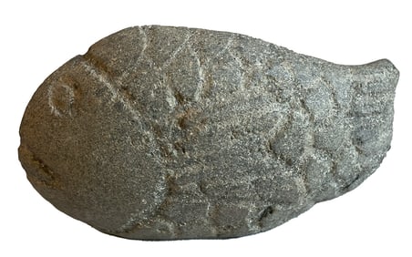 <b>Primate Stone Fish</b> 