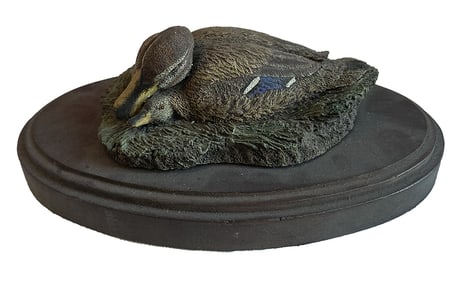 <b>Aus-Ben Limiteds Nesting Mallard</b>
