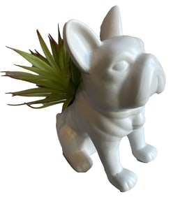 <b>Bulldog Planter</b>