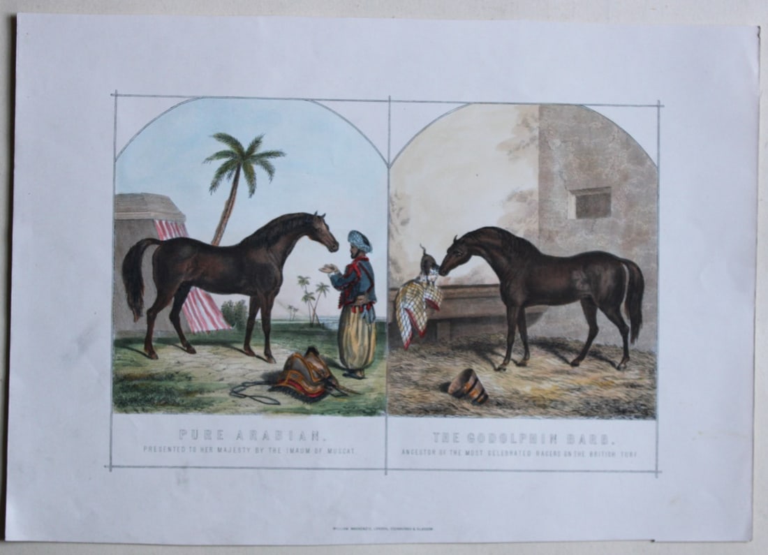 Pure Arabian after Benjamin Herring 1895 (1 of 1)