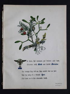 Moss, Mistletoe & Yew by JE Giraud 1845: This original hand-coloured floral print of Moss, Mistletoe & Yew is from The Flowers of Shakespeare by Jane Elizabeth Giraud, Published privately, Faversham, 1845. This print is beautifully