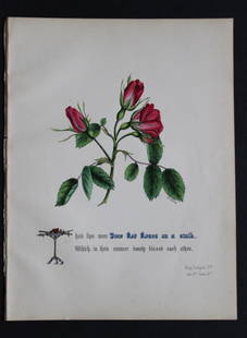 Red Roses by JE Giraud 1845: This original hand-coloured floral print of Red Roses is from The Flowers of Shakespeare by Jane Elizabeth Giraud, Published privately, Faversham, 1845. This print is beautifully illustrated and is ac